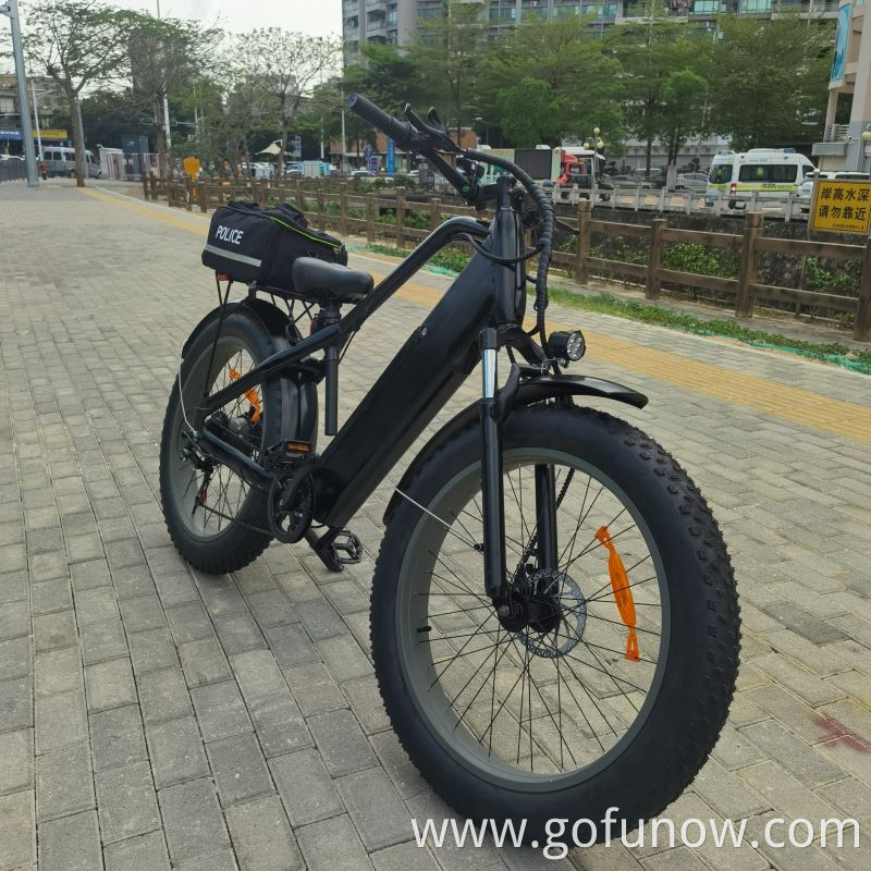 750W Lithium Battery 48V Electric Bicycle 26 inch Fat Tyre Beach Snow Electric Bike E-Bike